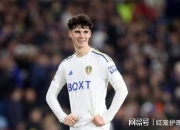 热刺后卫展望国家队欧锦赛预选赛