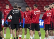 爱尔兰队全力以赴，争取進入欧锦赛的简单介绍