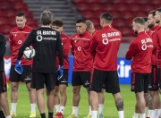 爱尔兰队全力以赴，争取進入欧锦赛的简单介绍