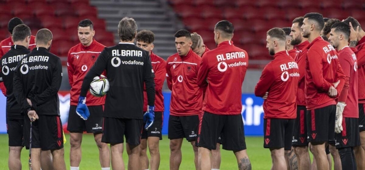 爱尔兰队全力以赴，争取進入欧锦赛的简单介绍